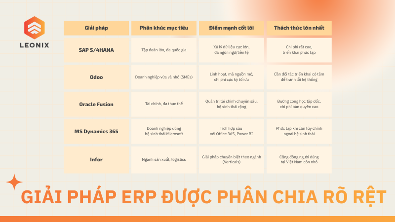 phân loại giải pháp ERP